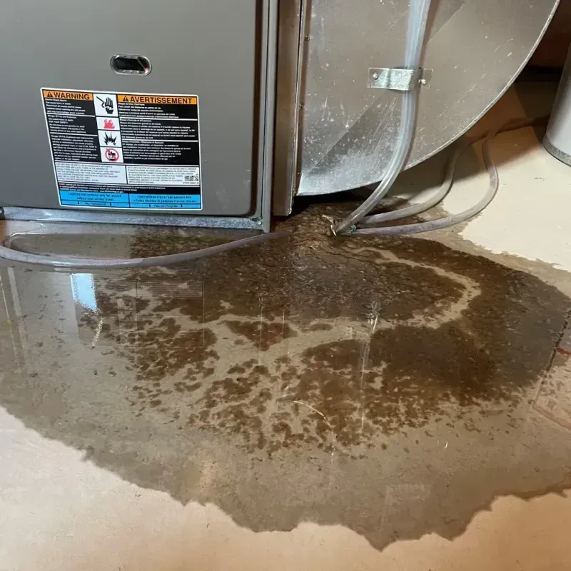 Appliance Leak Cleanup in East Foothills, CA